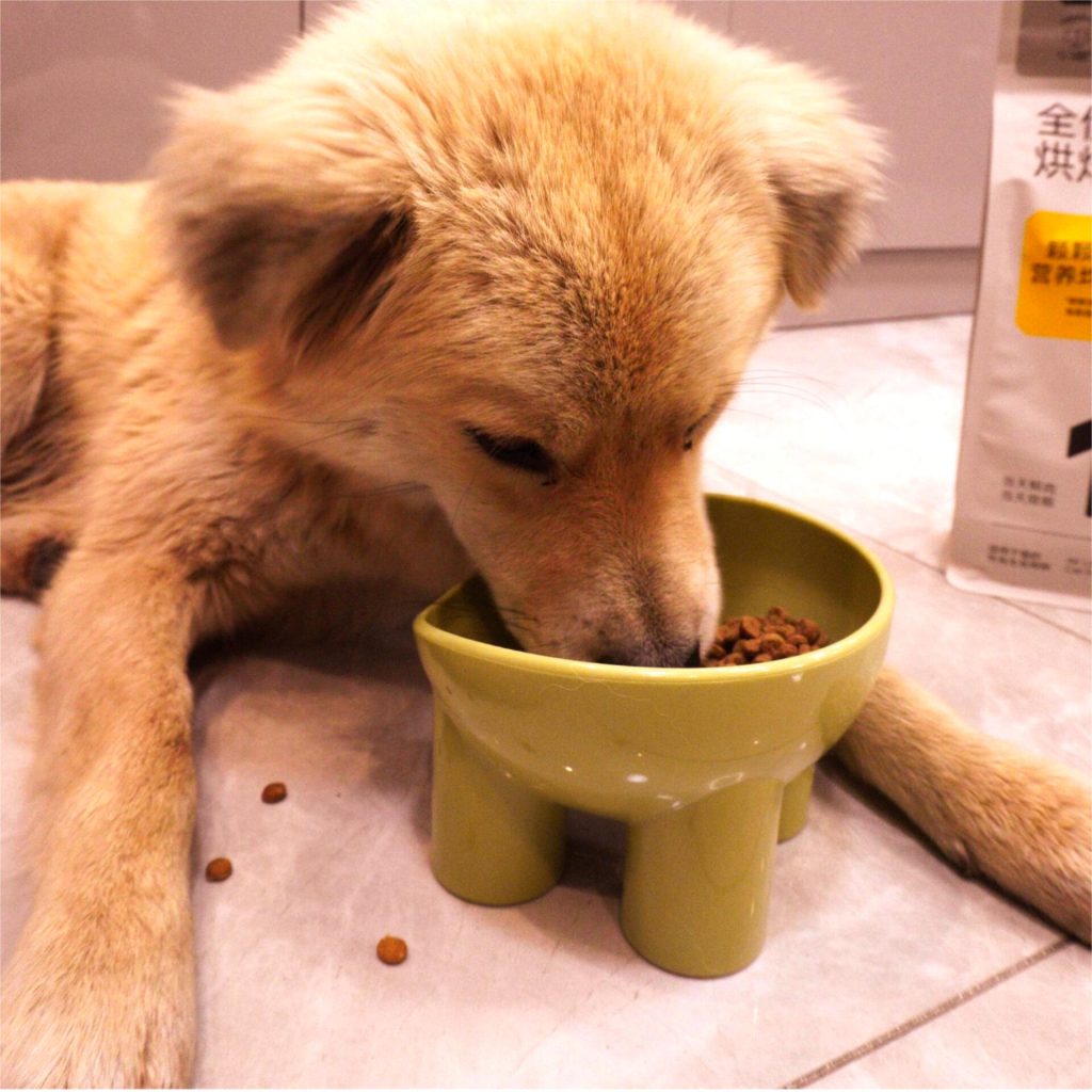 Choline Chloride in Dog Food