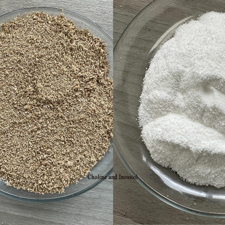 Colina e inositol