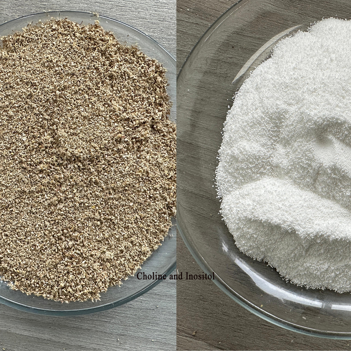 Choline and Inositol